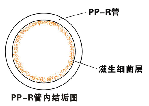 PP-R滲氧，易滋生細(xì)菌，有異味；腐蝕金屬連接件，降低使用壽命